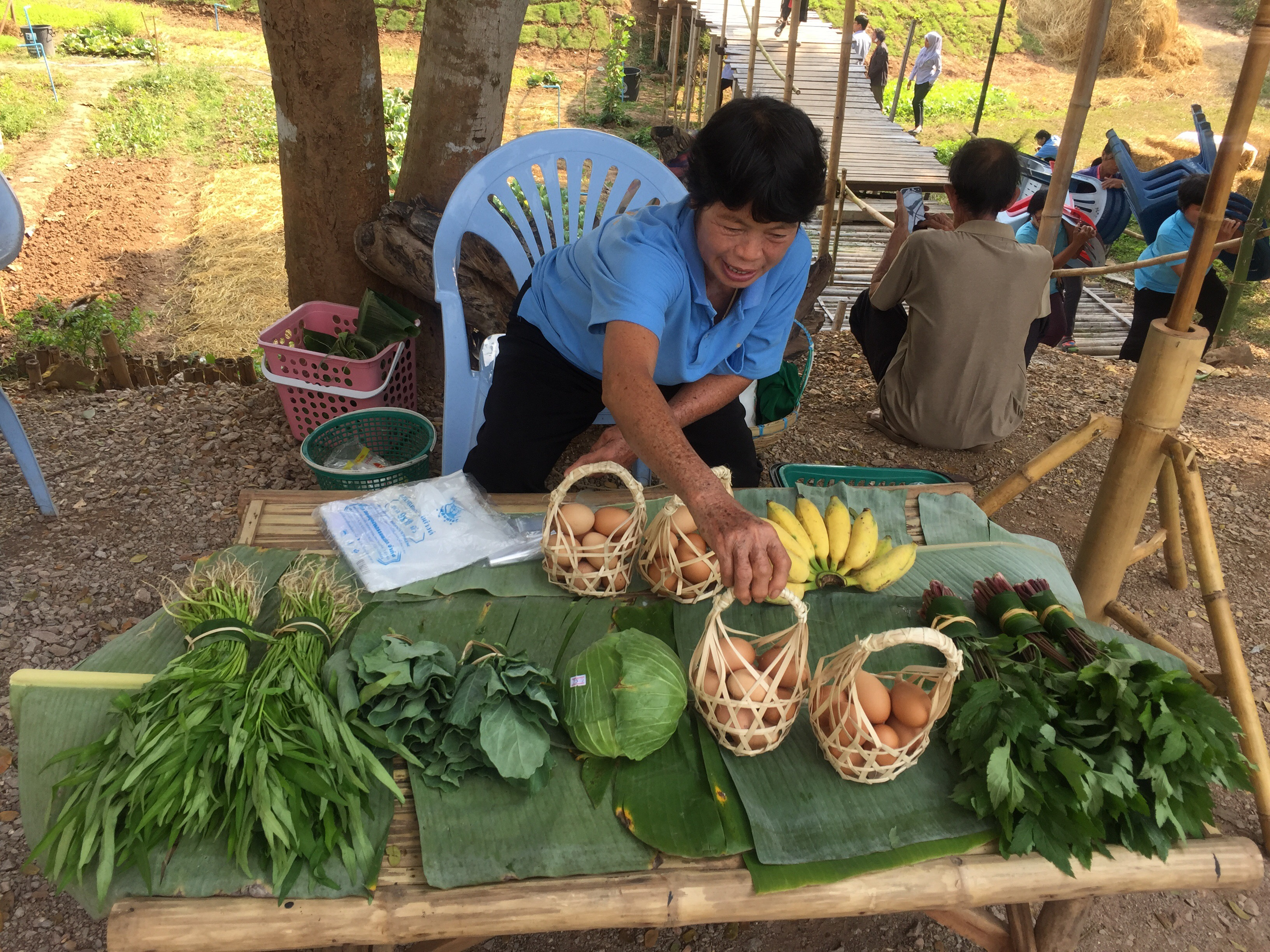 ติดตามความก้าวหน้าการดำเนินงานโรงพยาบาลอาหารปลอดภัย เขตสุขภาพที่ 1