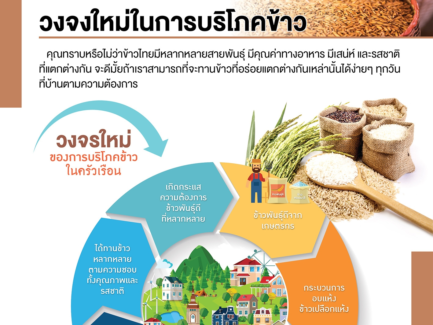 โครงการข้าว
